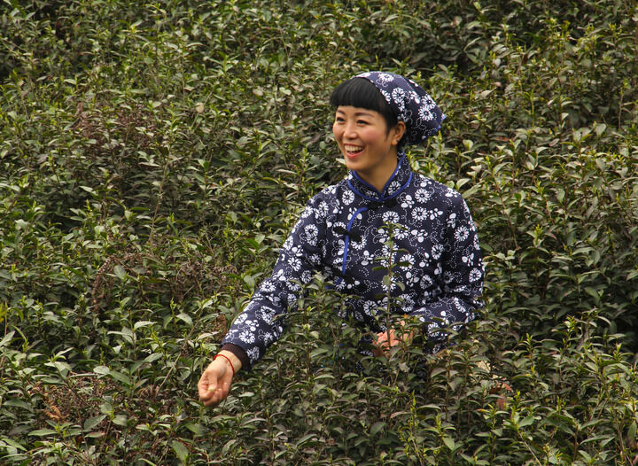一对一视频聊天网站 第七个目标